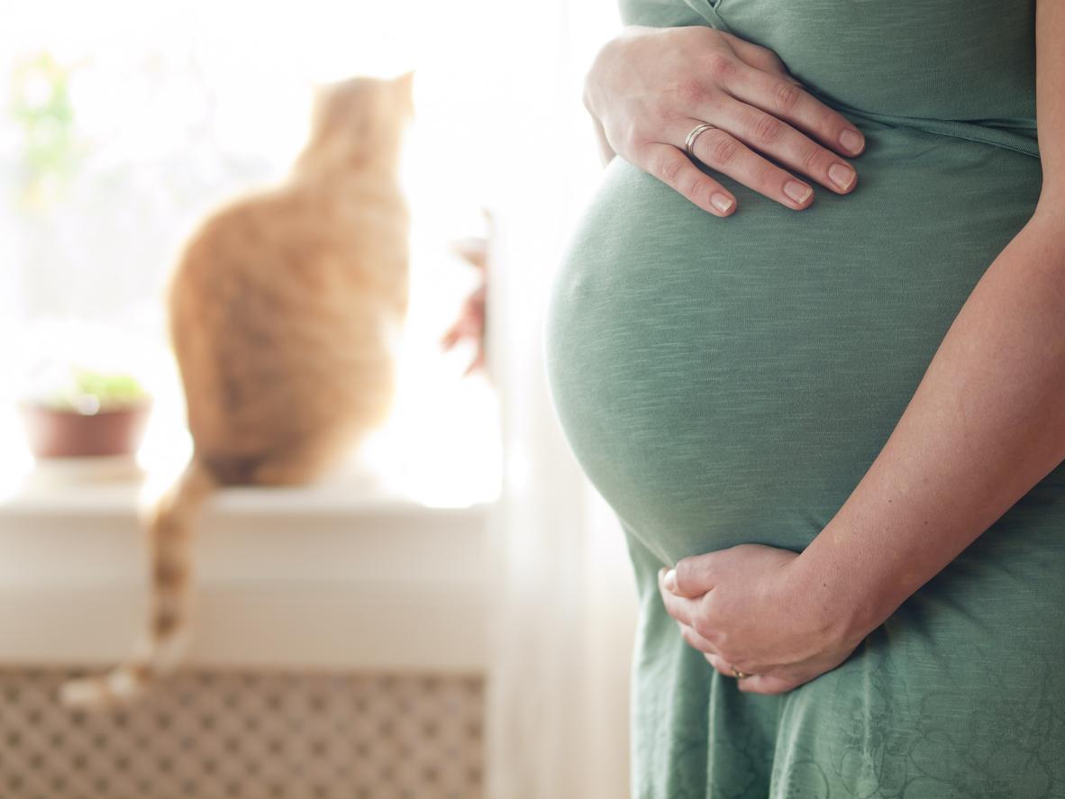 Toxoplasmose
