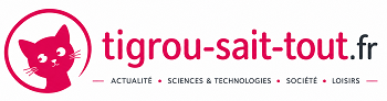 tigrou-sait-tout